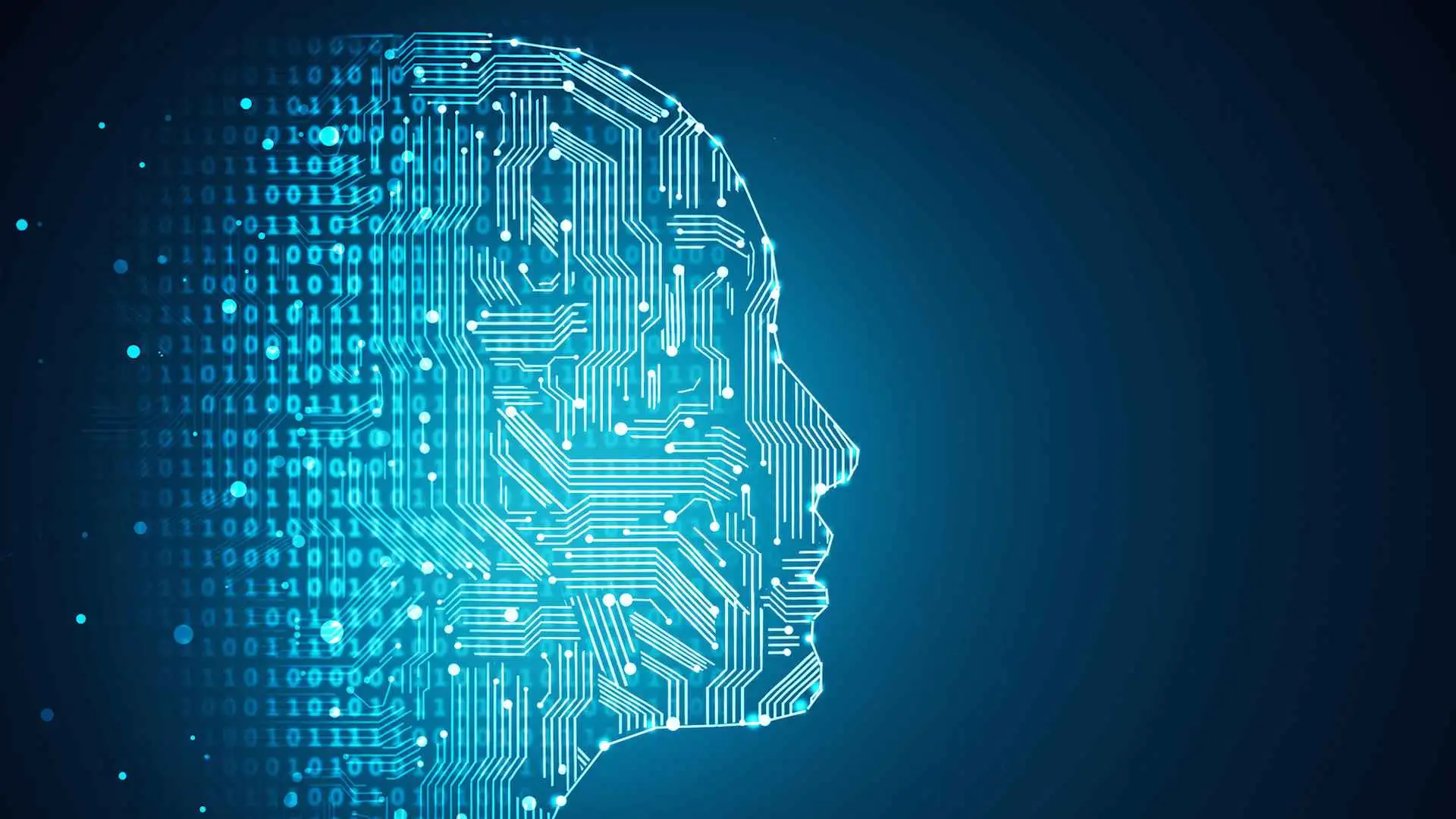 - Exploring​ the Different Dimensions of Digital Marketing: ​On-Page​ and Off-Page SEO