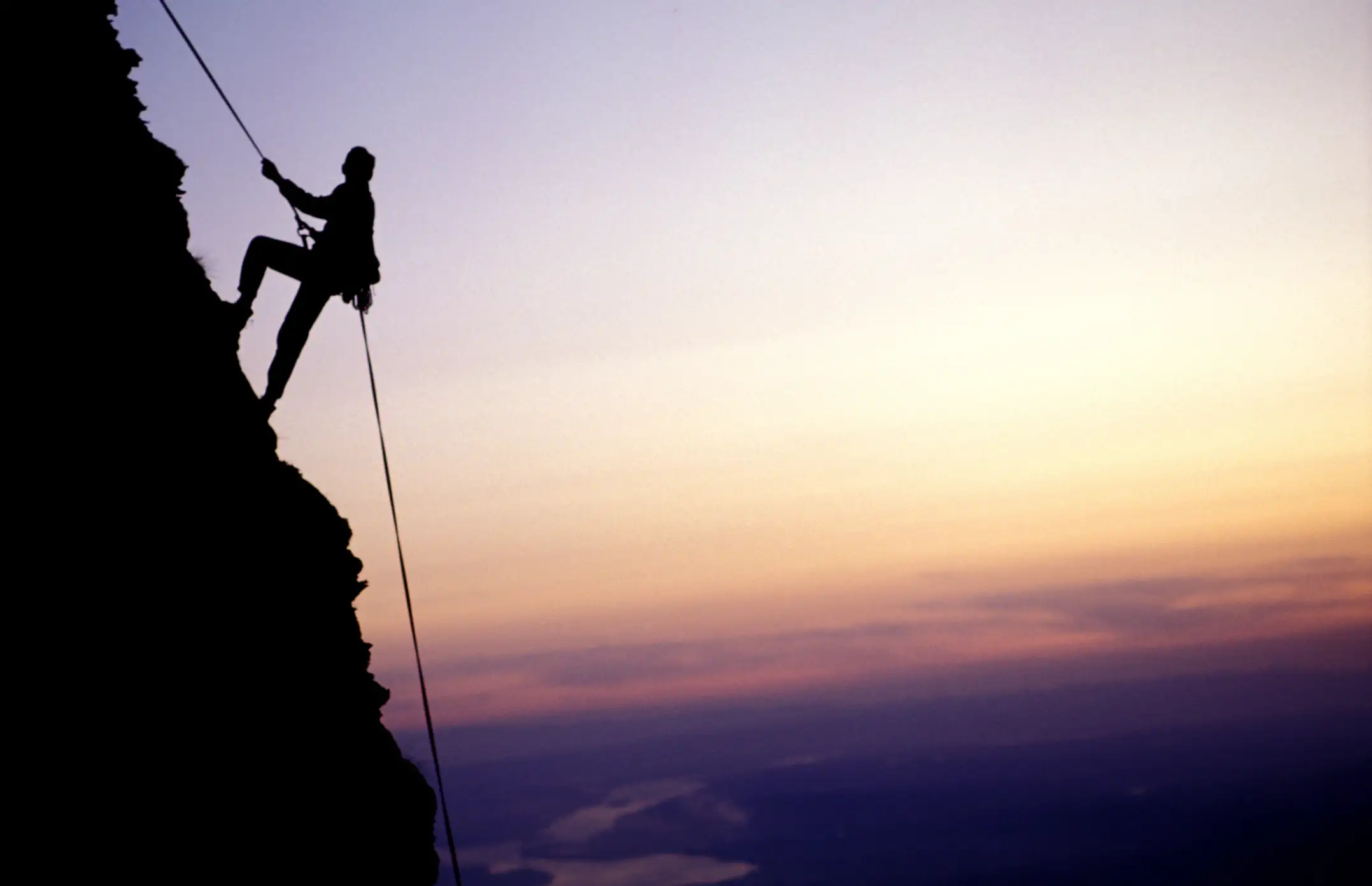 1. Key Elements & Principles for Digital Marketing Strategies