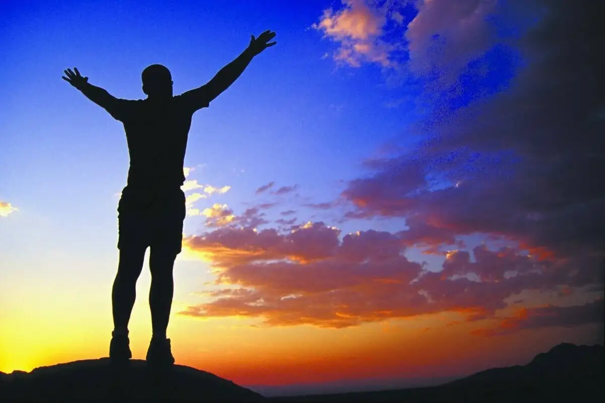 2. Optimizing Your Website & Content: Crucial Factors of SEO Success