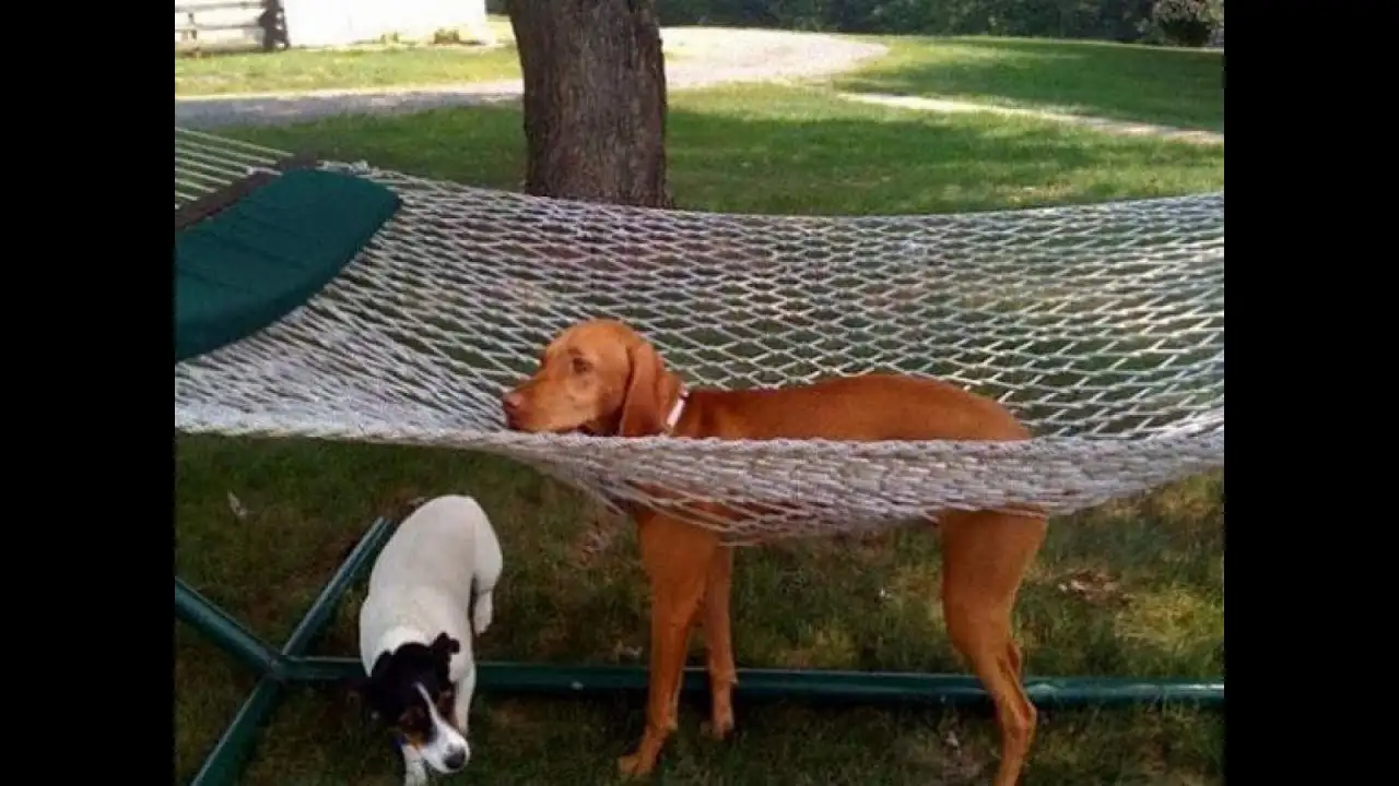 - From Coca-Cola to Christmass: The Intricate Creation of a Holiday Icon