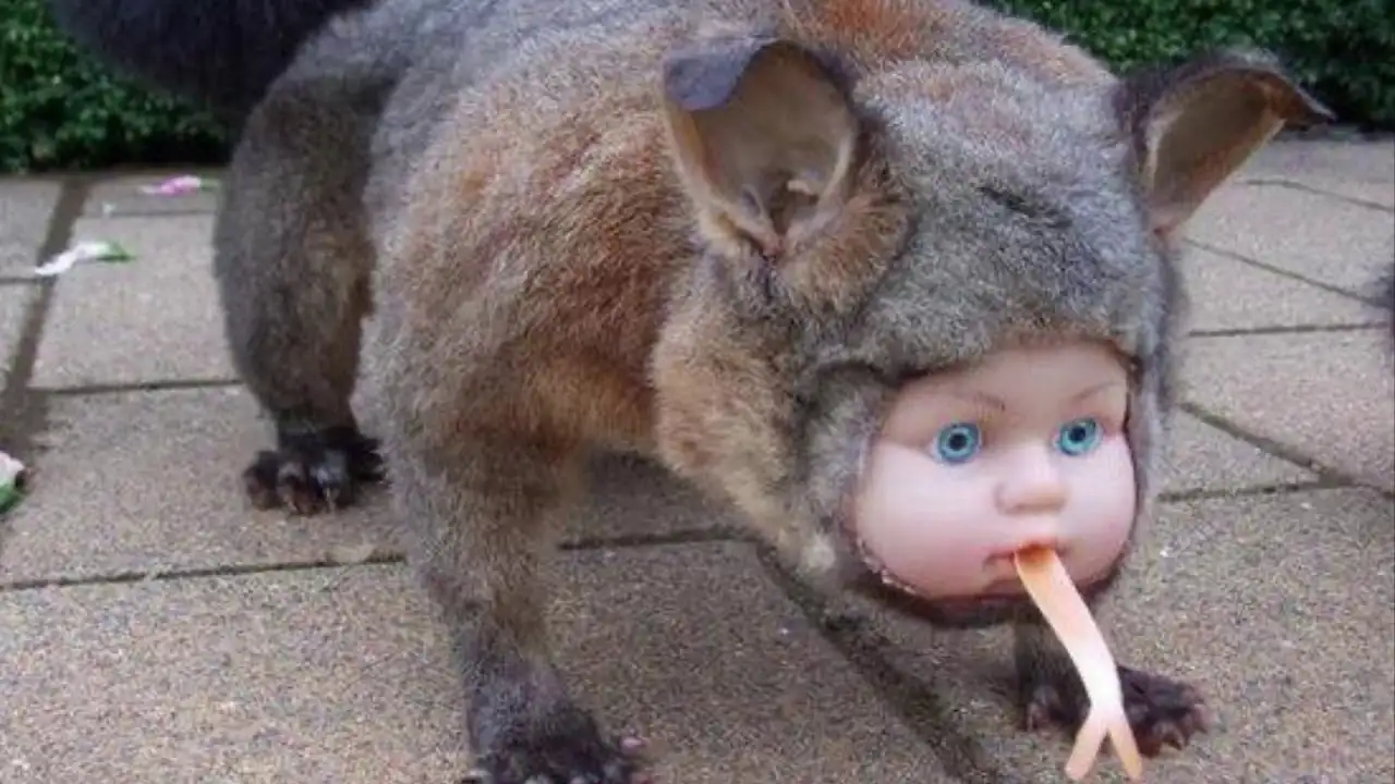 1. 