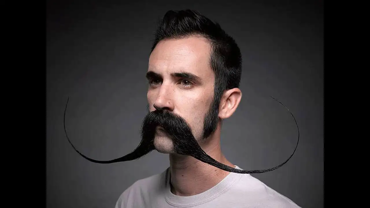 The Incredible Adaptability of Sharks: From Jaws to Basking Delight