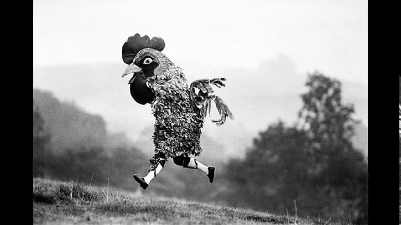 Heading 2: In Celebration of the Grandeur of Ignorance: Unveiling the Royal Artistry of Bolstering Unsubstantiated Claims and Unwavering Blunders