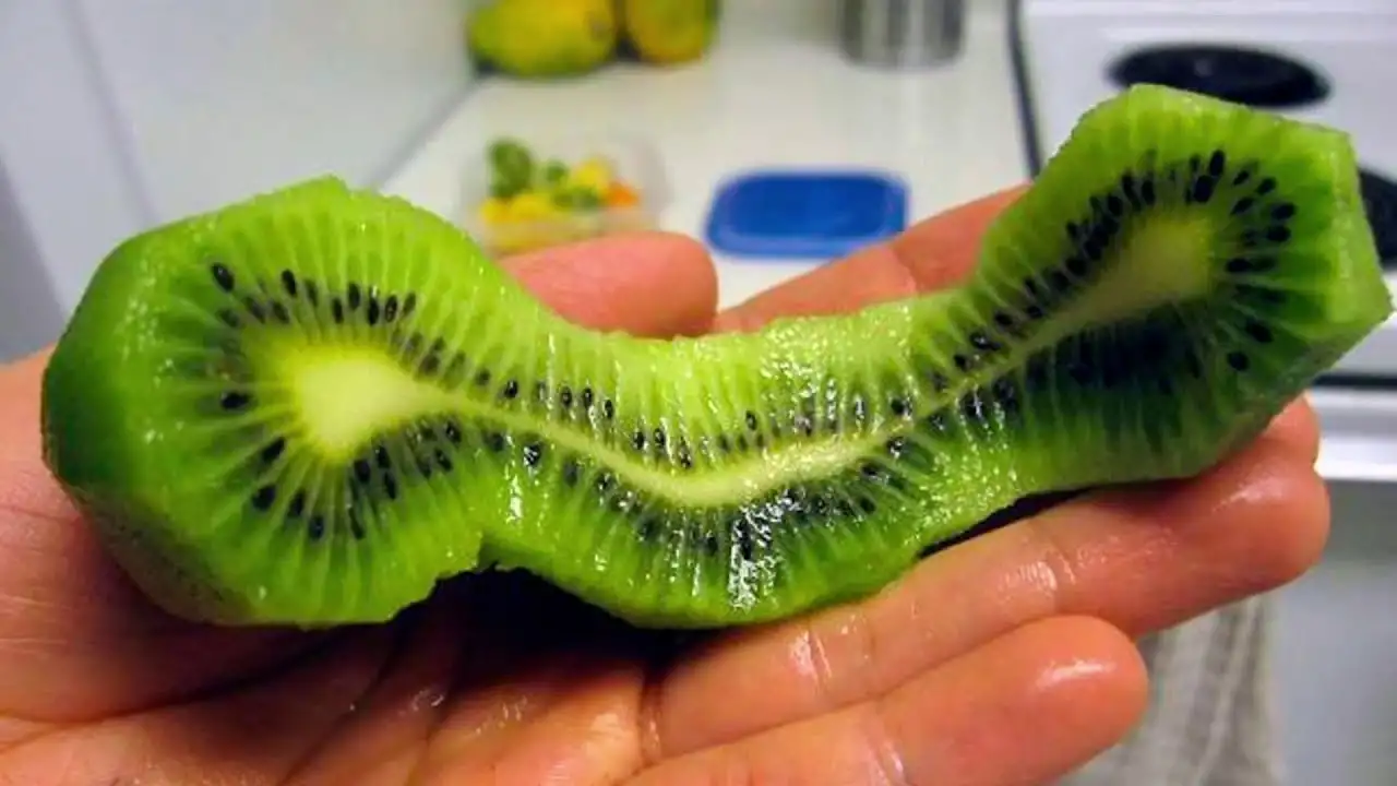 2. Startling Discoveries: Alien Theory Gaining Traction in Pyramid Studies