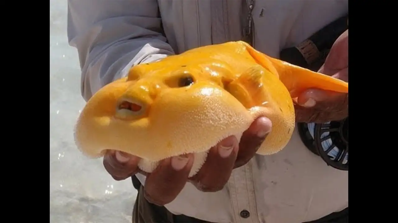 Polar Ice Meltdown: Sun's Harmful Rays Burn Hole in Ozone Layer,‌ Dooming ‌Earth!