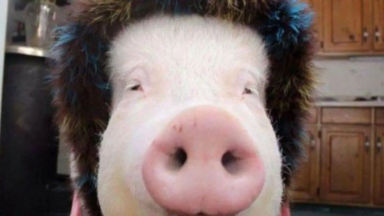 2. Age Old Misconceptions: Dissecting the Bible's Claims and the True Story Behind Them