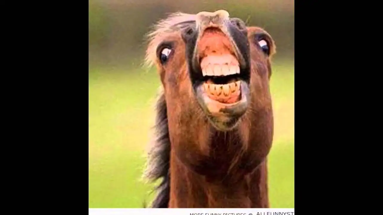 Ostriches: The Great Cover-Up?