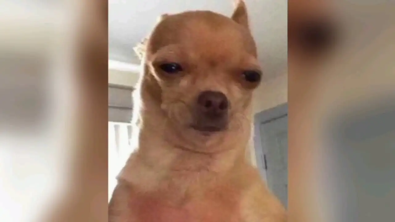 2. Maritime Menace: A Closer Look at Naval Battles ⁣and Buoys