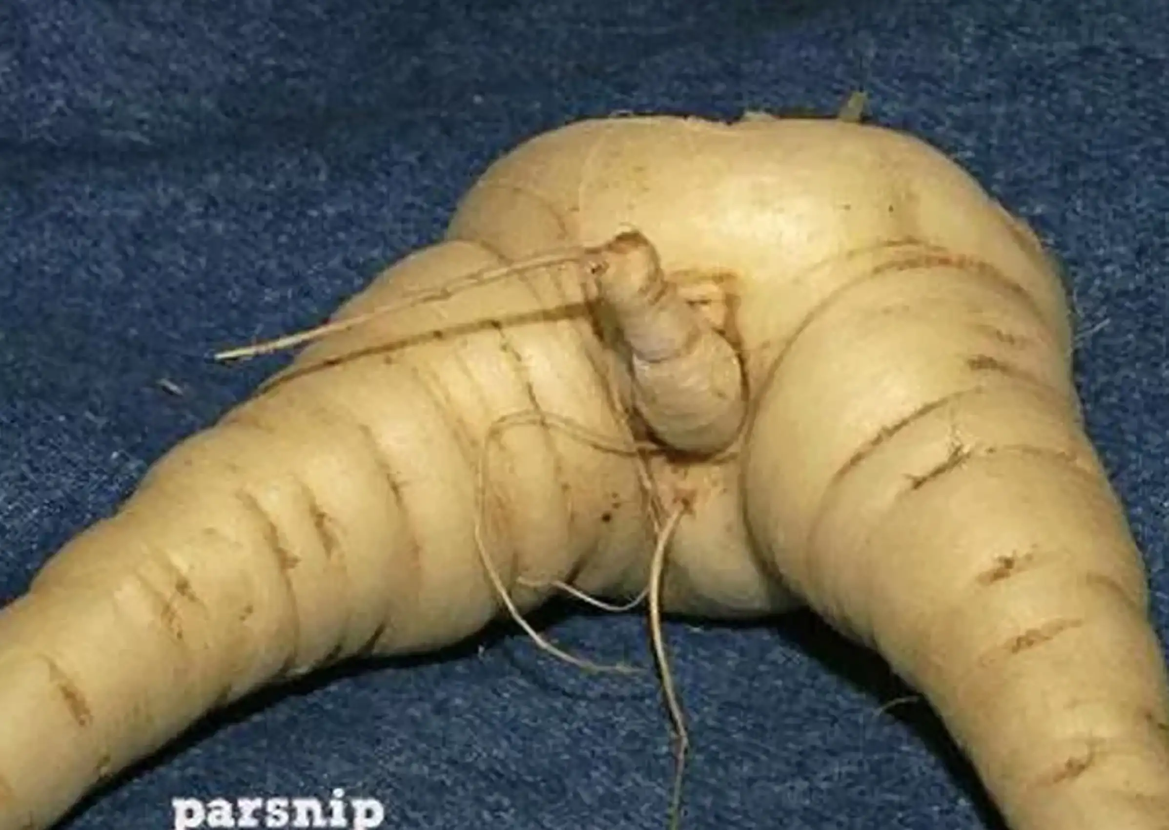 Exhuming Shock:⁤ Corpse's Hair, Nails Spring to ​Life!