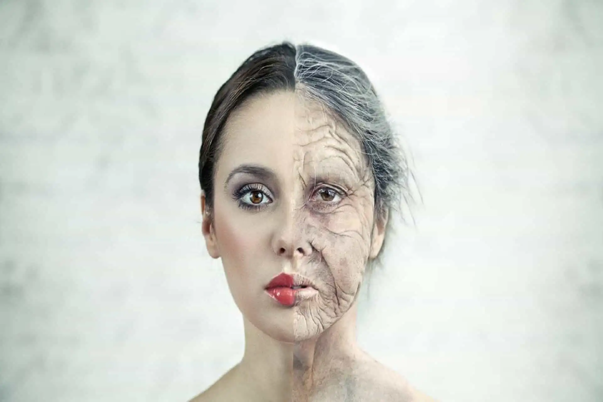 Heading 1: The Madness Behind the Mania: A Journey into the L Train's Underground Circus