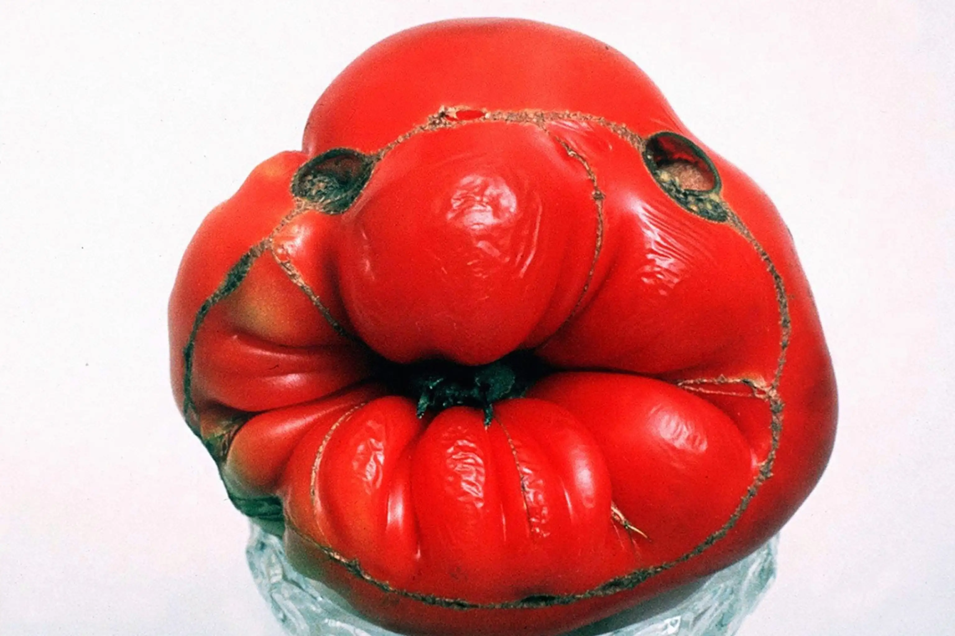 Flubbery Fiasco: Fact-Checking Blood's⁣ Baffling ‍Blue: Ugh, Is it‌ Serious