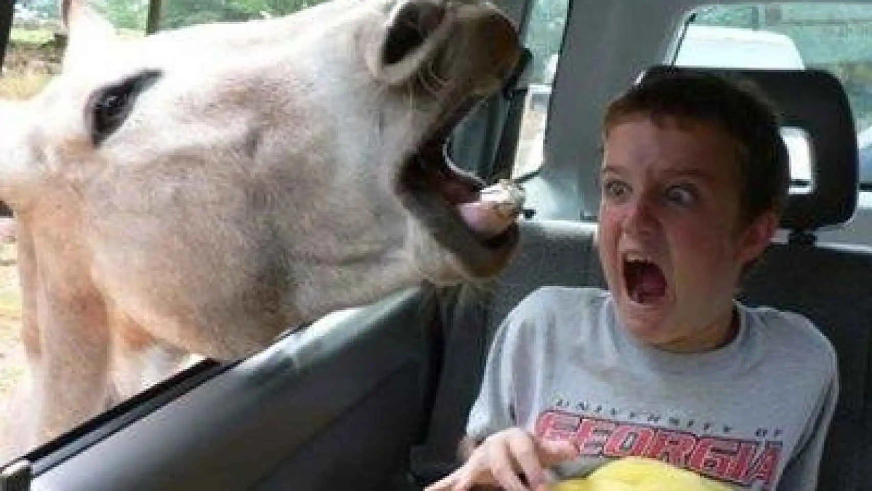 3. The Lazy Noodle: How This Mental Habit Drains Your Mental Acumen