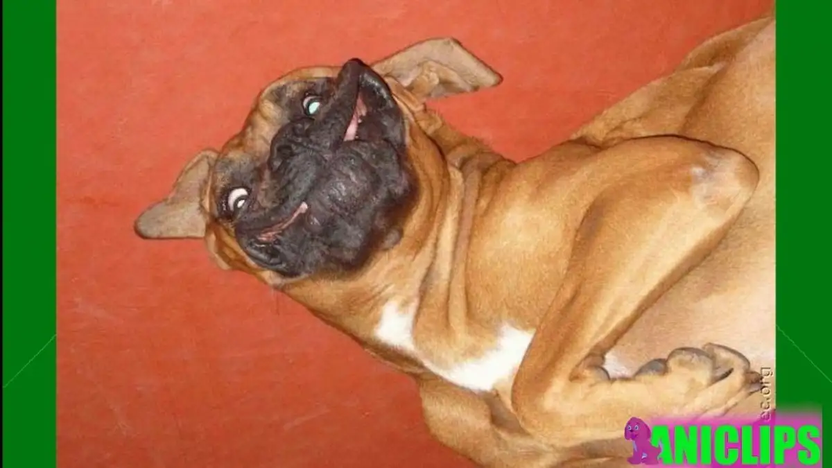 Eyes Cross ⁣and Stick?‌ Shock ⁢Study Shows‍ This‍ Simple Trick Works!