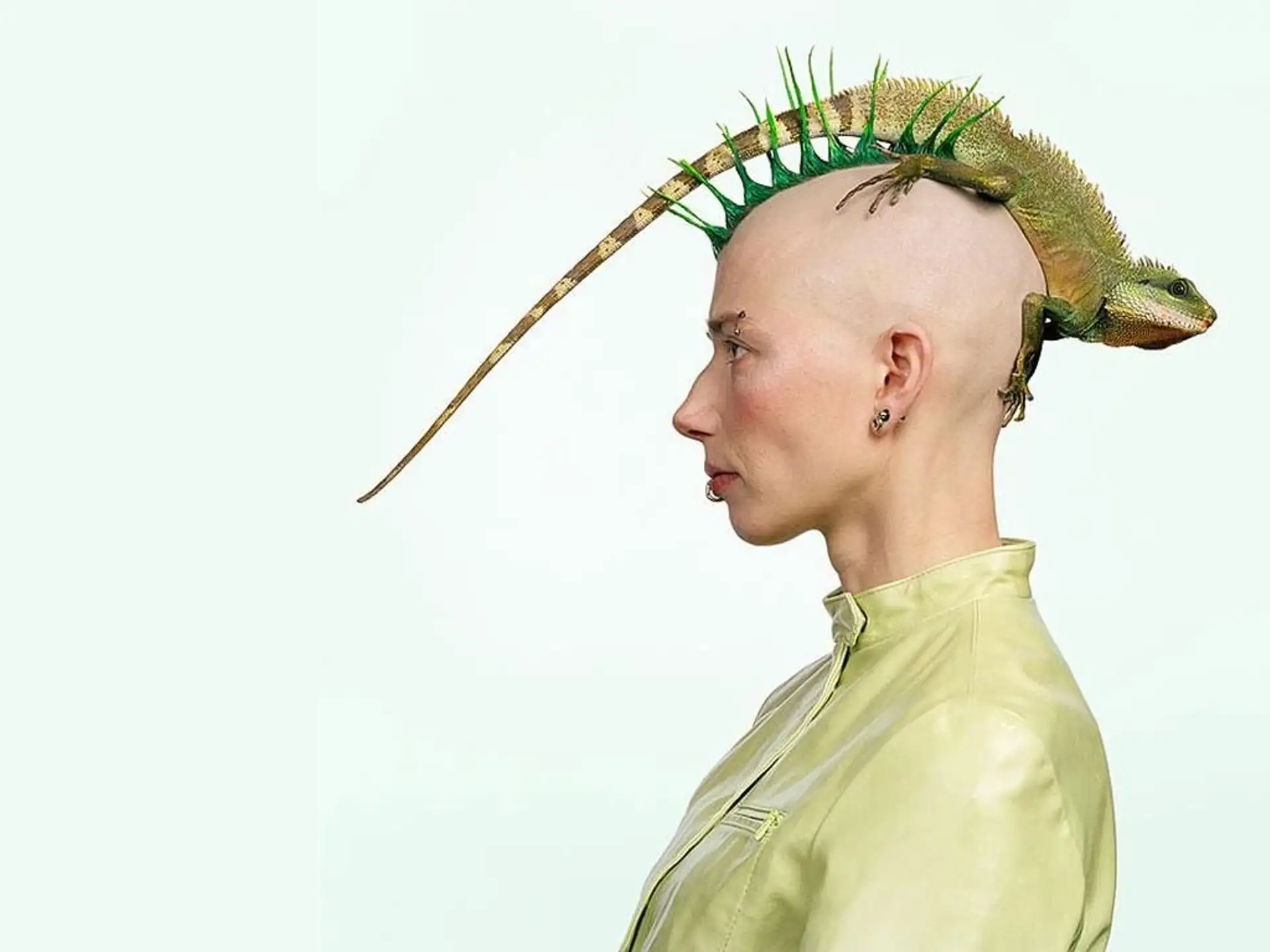 1. Unveiling the Unbelievable: A Magnified Mirror to Modern Madness