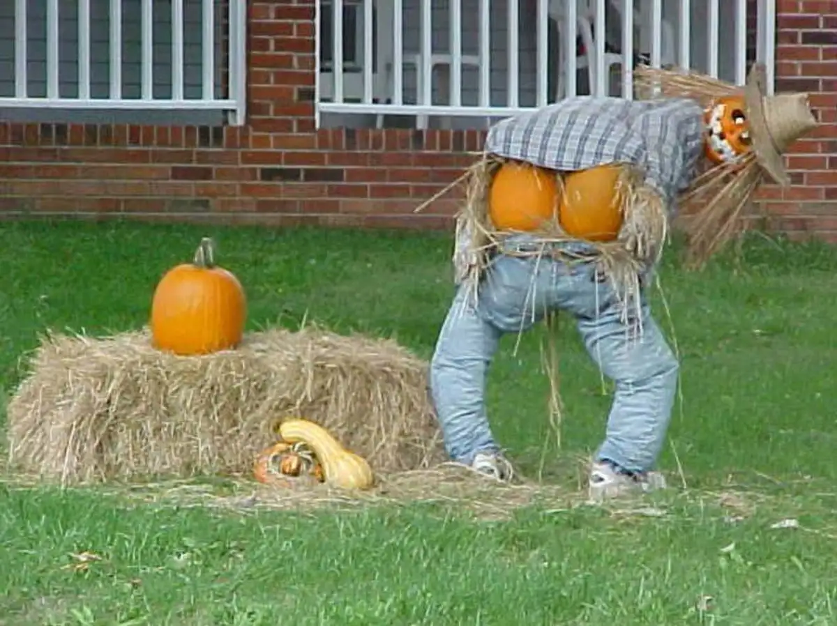 1. A Toxic Spellbinding: Unraveling the Truth Behind Chemtrails