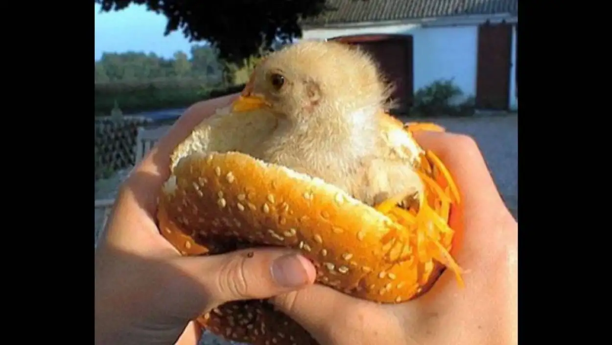 1. A⁢ Whirlwind of Whiskers: The Intricate World of Bats and Their Astonishing Abilities