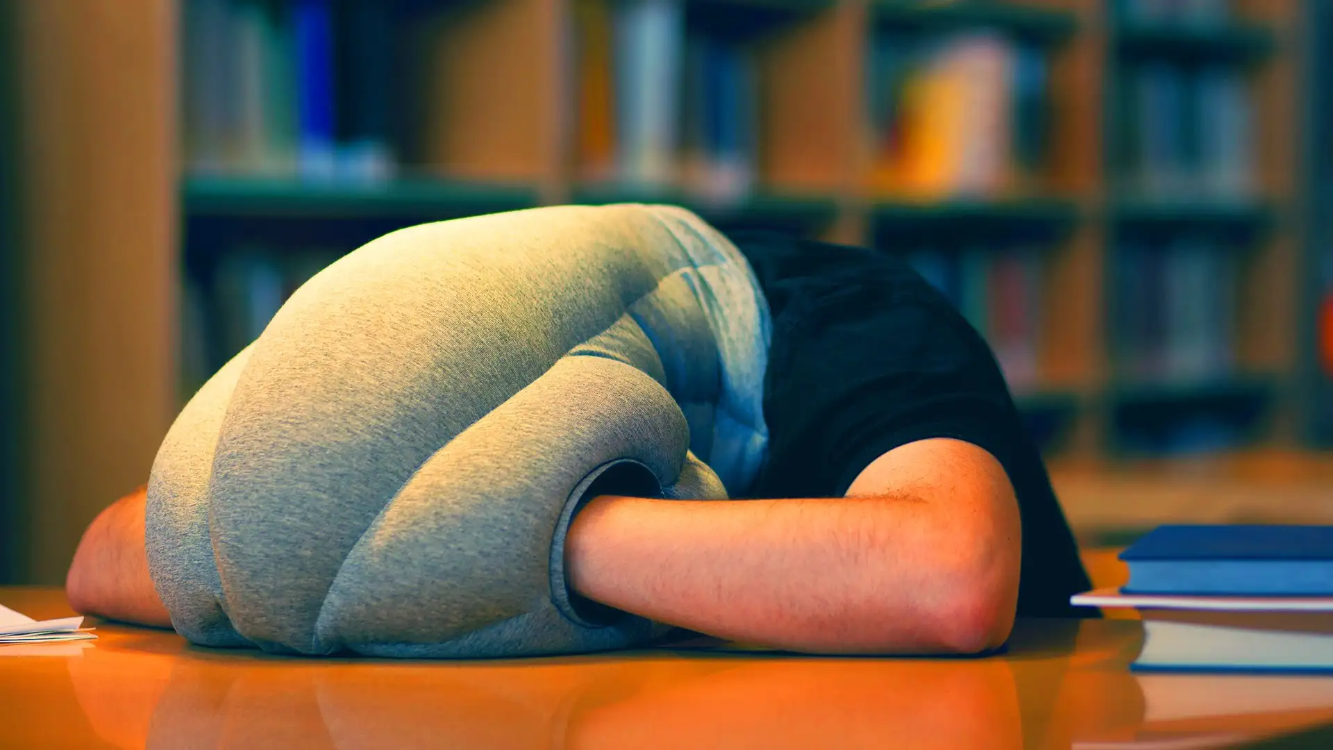 3. The Buzz-Worthy World of Pips: An In-Depth Explorer of Flies' Universe