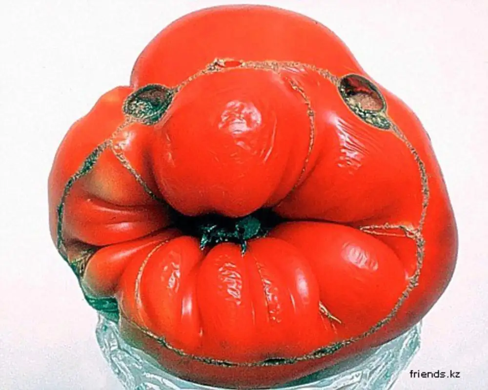 3. The Environmental Chain Reaction: A ⁣Grim ⁢Future for Our Planet