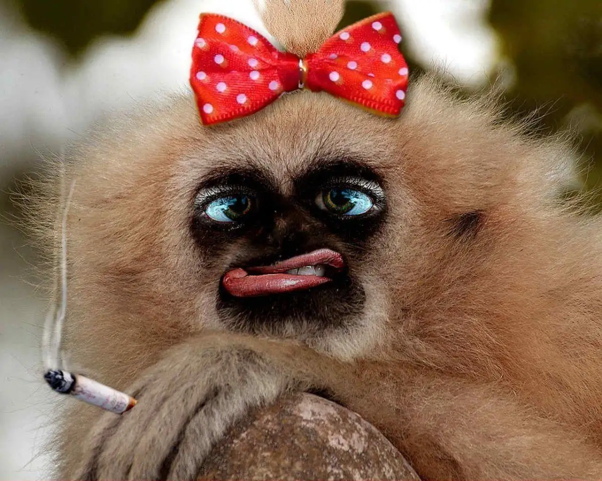 The Enigmatic Nature of these Creatures