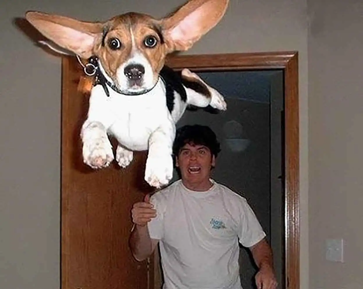 Meet the Master: Jon Henrich, Chess Genius