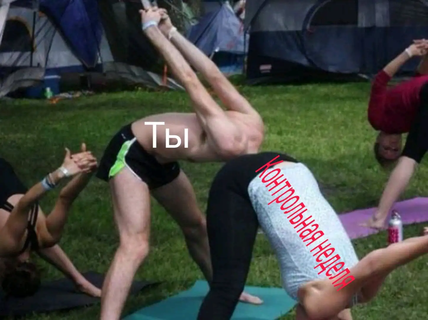 2. A History of Misdiagnosis and Misinterpretation: The Long Search for Nessie