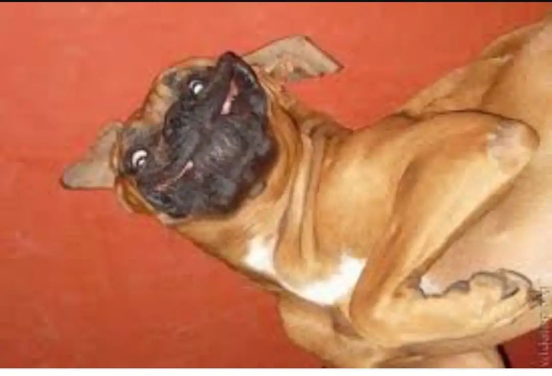 The Unbelievable Story Behind this Life-Saving Procedure