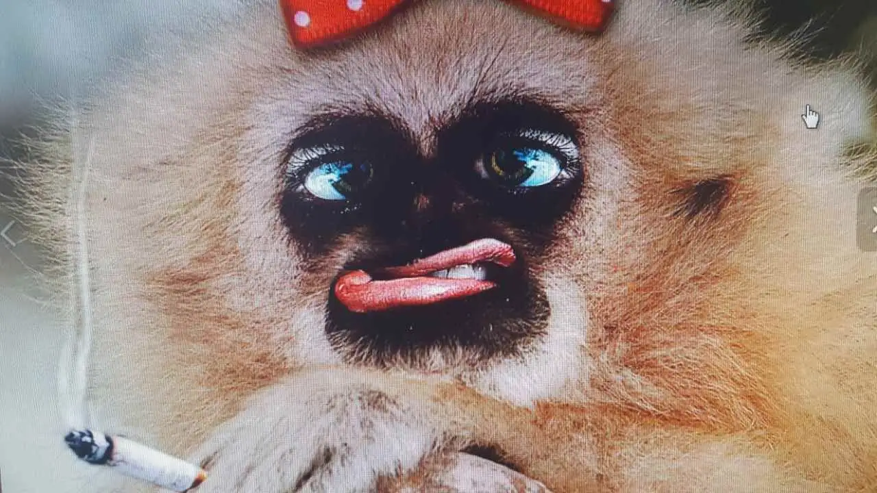 Heading 1: When the Lazy, Lean and Penny-Pinching Converge: Unveiling Walmart's Secret Underbelly