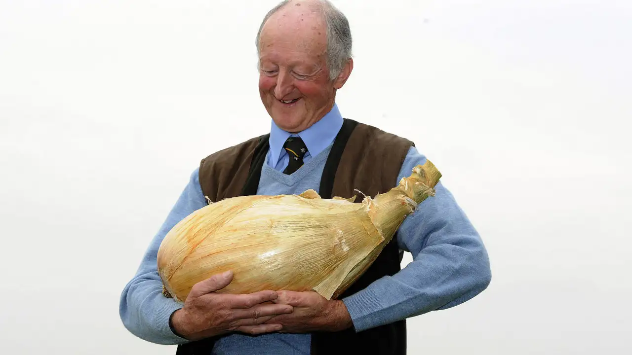 Astrobuffoons Adrift in Zero-G: Are Weeping Willies Ready for Reality