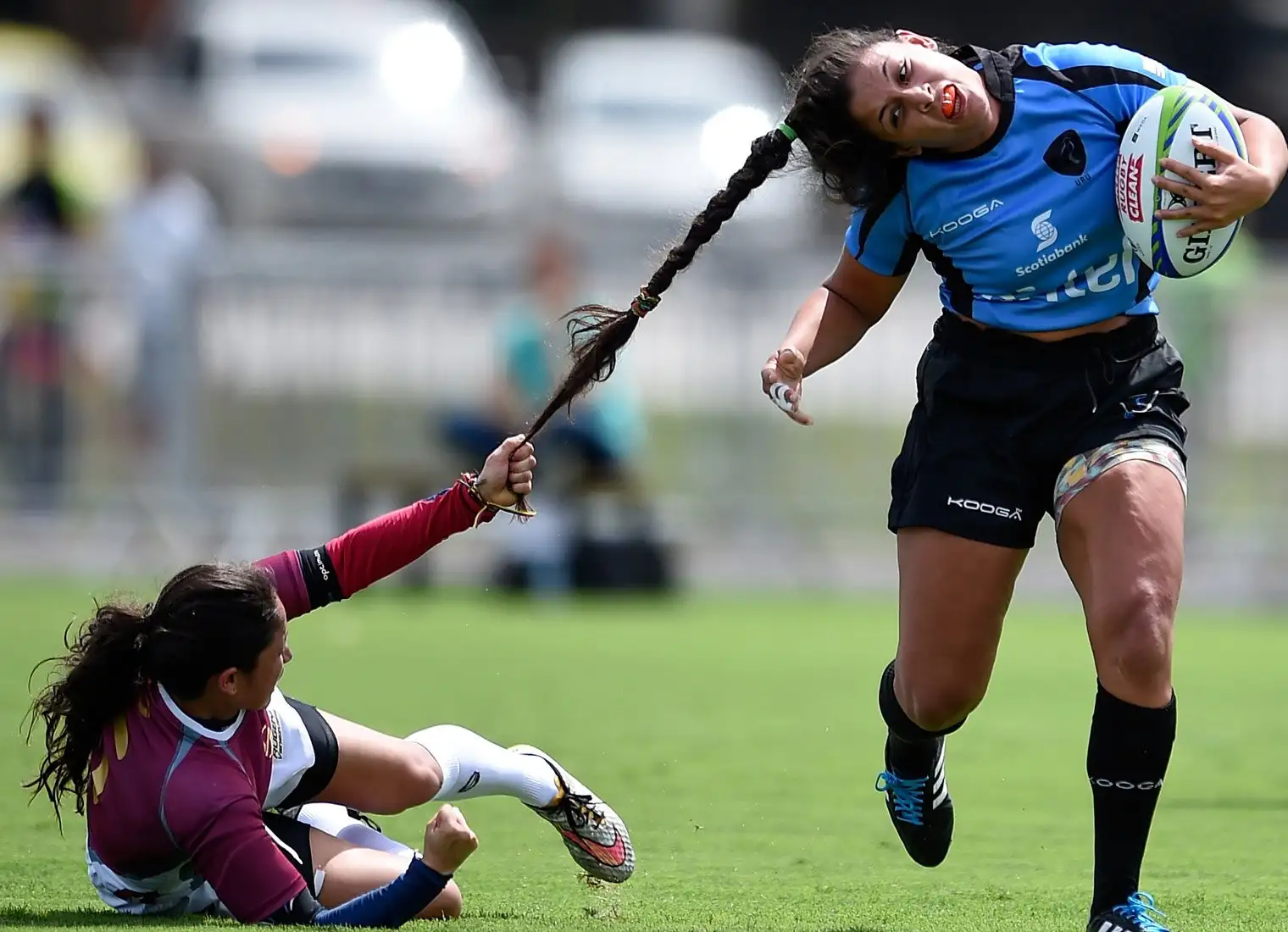 Shocking Science Revealed: 'Blue Blood' Miracle or Just Gas? We Unravel the True 'Colors' of Blood & Gravity's Mystery!