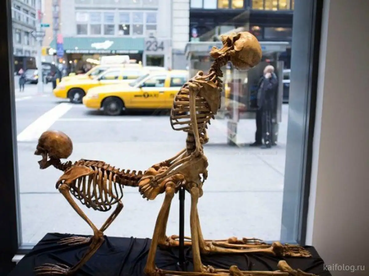 2. The Unbelievable Truth of Nature's Murder-Suicide Brigade