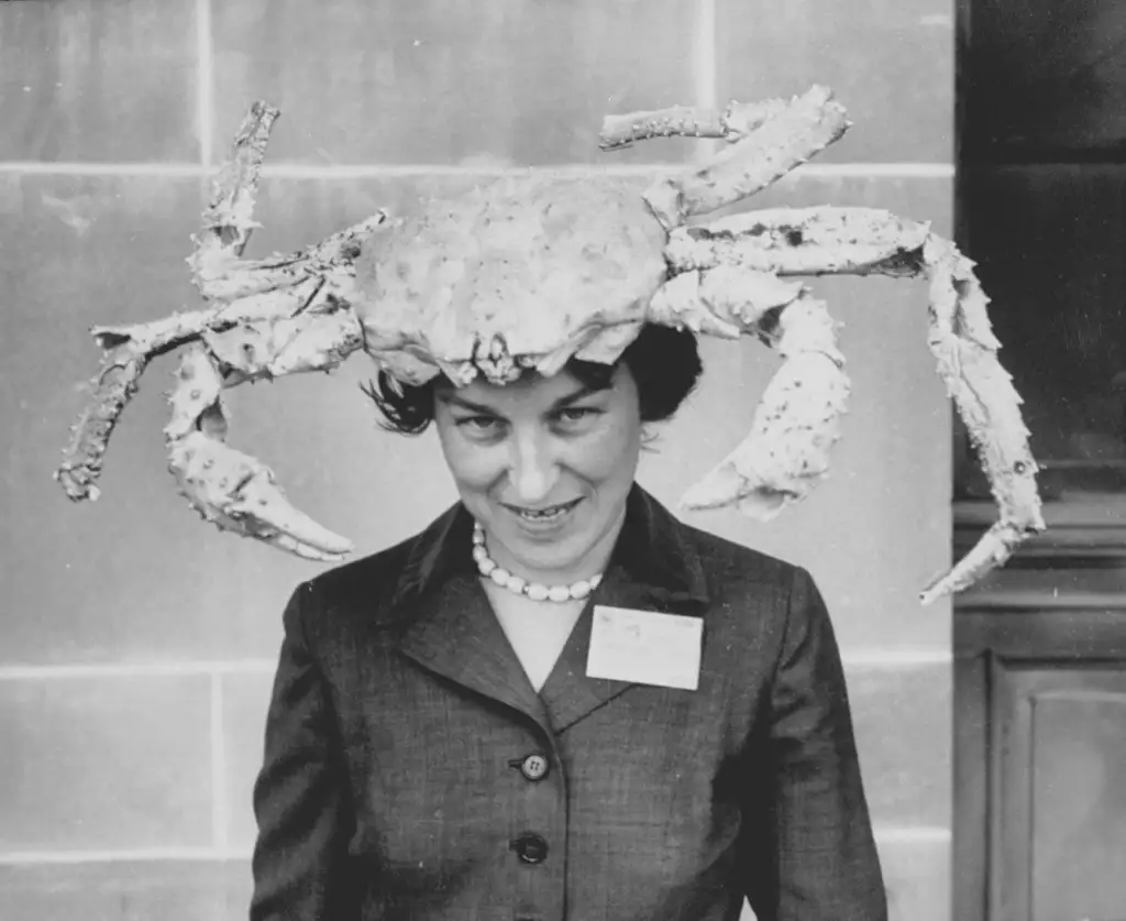 Weirdos Galore:⁣ The ‌Baffling World of 'Weird​ Pics People' Unveiled