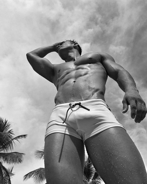 3. Inspecting the Bulge: How to Tell if You've Found Your Ideal Match