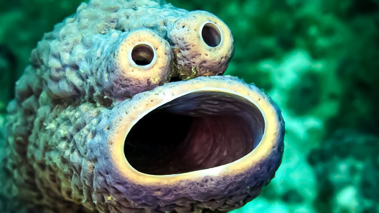 Beyond Conventional Norms: Unearthing the Eccentricities of Individuals with Autism