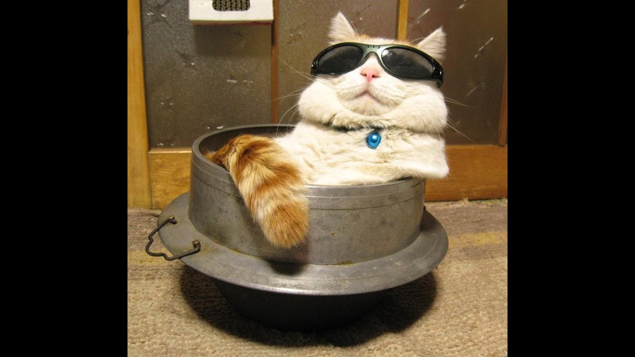 2. Patience is Overrated: How to Efficiently Exploit Code Vein's Mark of Honor ​Farming Mechanism