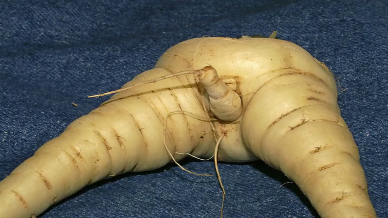 2. 