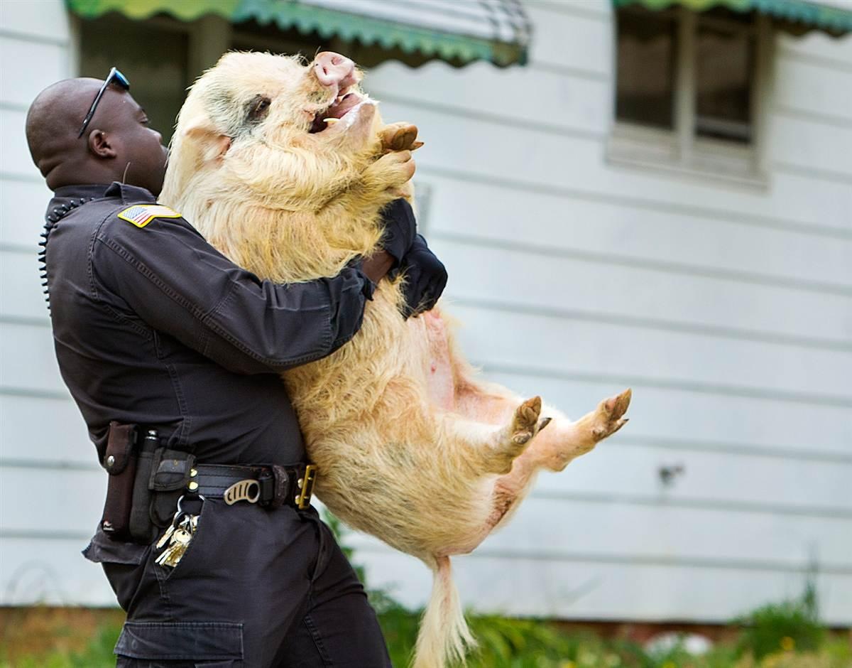 1. The Elusive⁤ Utopia: Explore the Wonderfully ⁣Barren ‍Lands of 