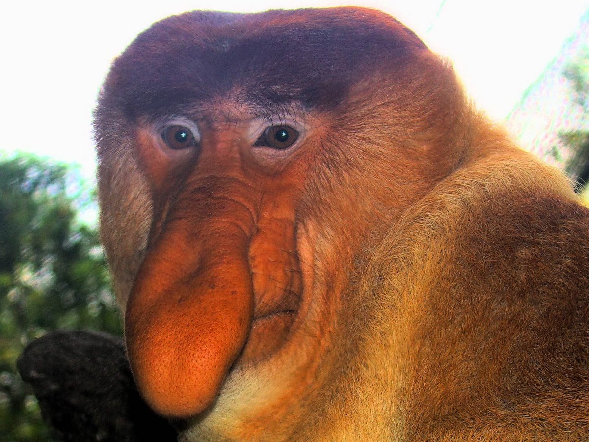1. 