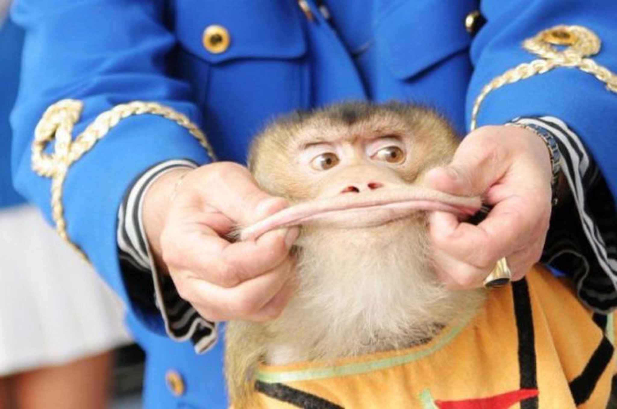 2. Unleash Your‍ Inner Clown: Expert Tips to Master the Art of Looking Absolutely ​Absurd