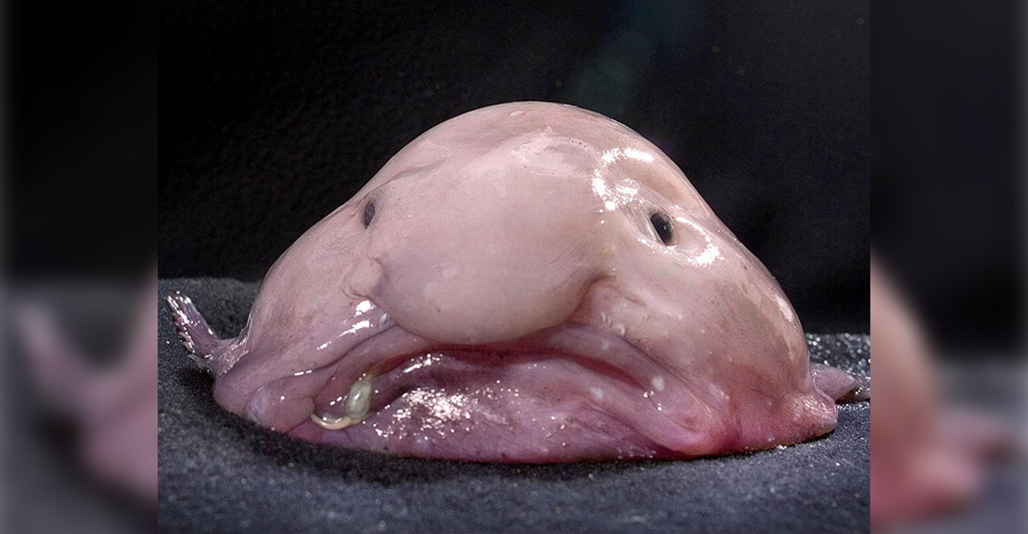 1. The Bizarre World of Human Body Statistics: ⁤Embrace ⁤the Oddity and Emulate the Extraordinary!