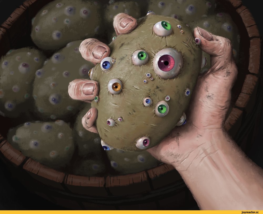 - Prepare to Laugh Out Loud: ⁣Our Handpicked​ Collection of Absurdly Funny ‍and⁣ Bizarre Photographs featuring Humans in All Their Glory!