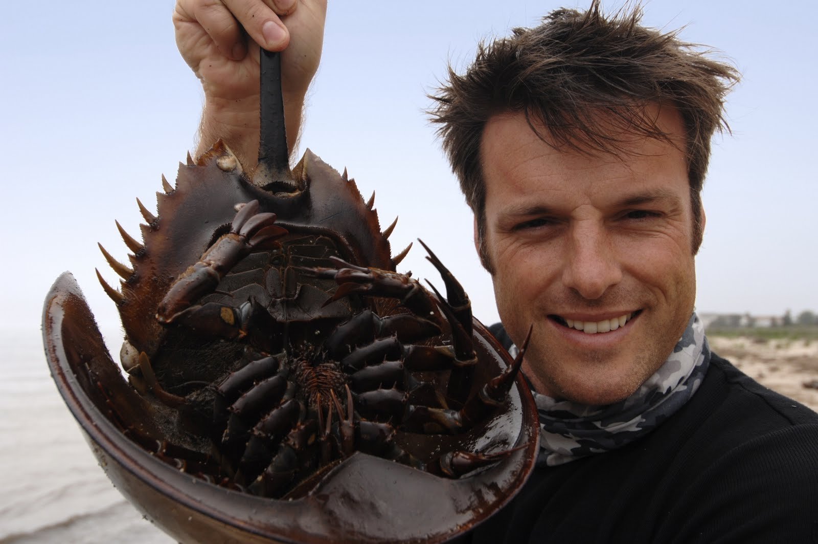 2. Embrace the Oddity: Unconventional Games That Redefine 