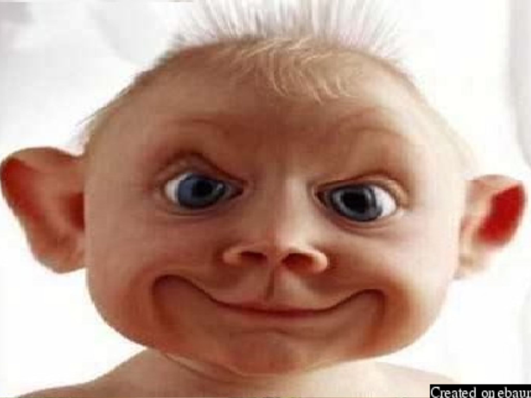 1. The Enigmatic Blue: Unraveling the Quirks, Mysteries, and Peculiarities of Blue-Eyed Beings