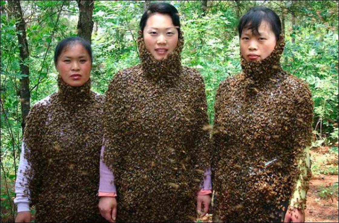 - The Fascinating World of Quirks: Unveiling Peculiar Traits and Embracing Individuality