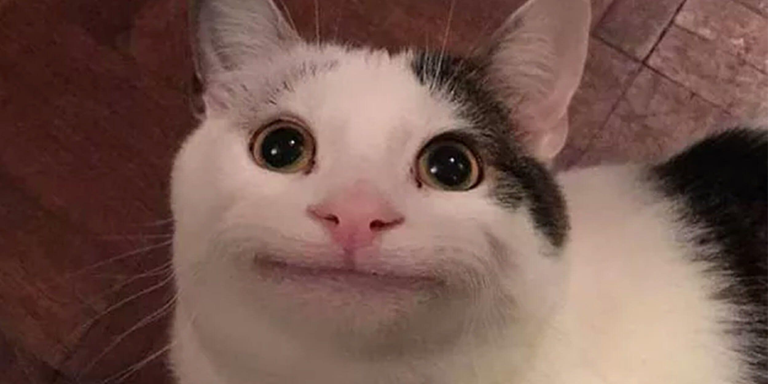 1.⁣ 