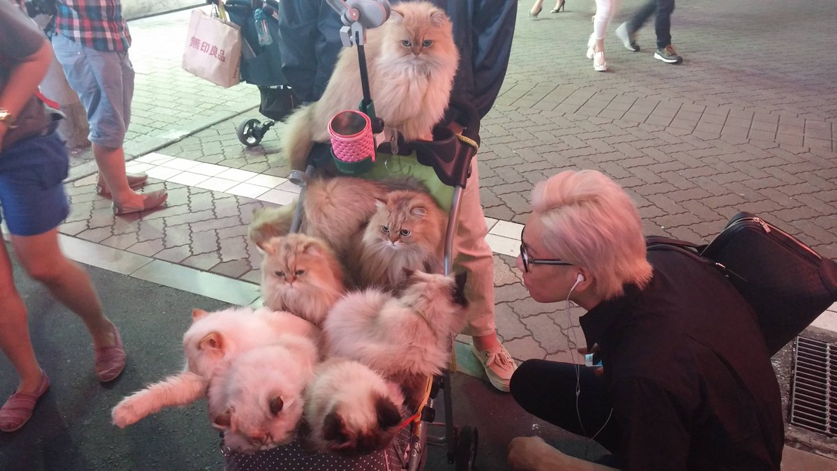 2. The Theater of Chaos: LG Productions Strangle Cast's Guide to How NOT to Run a Production