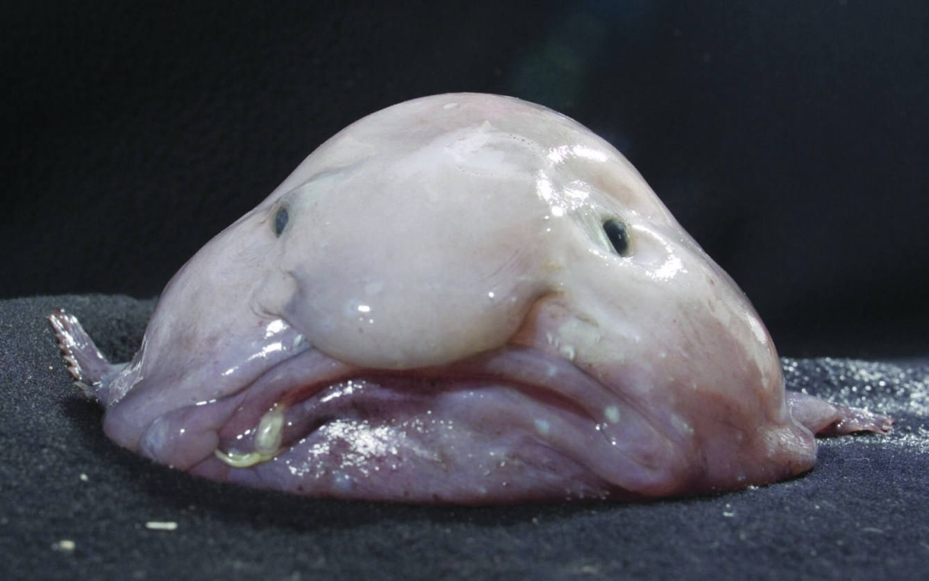 1. 