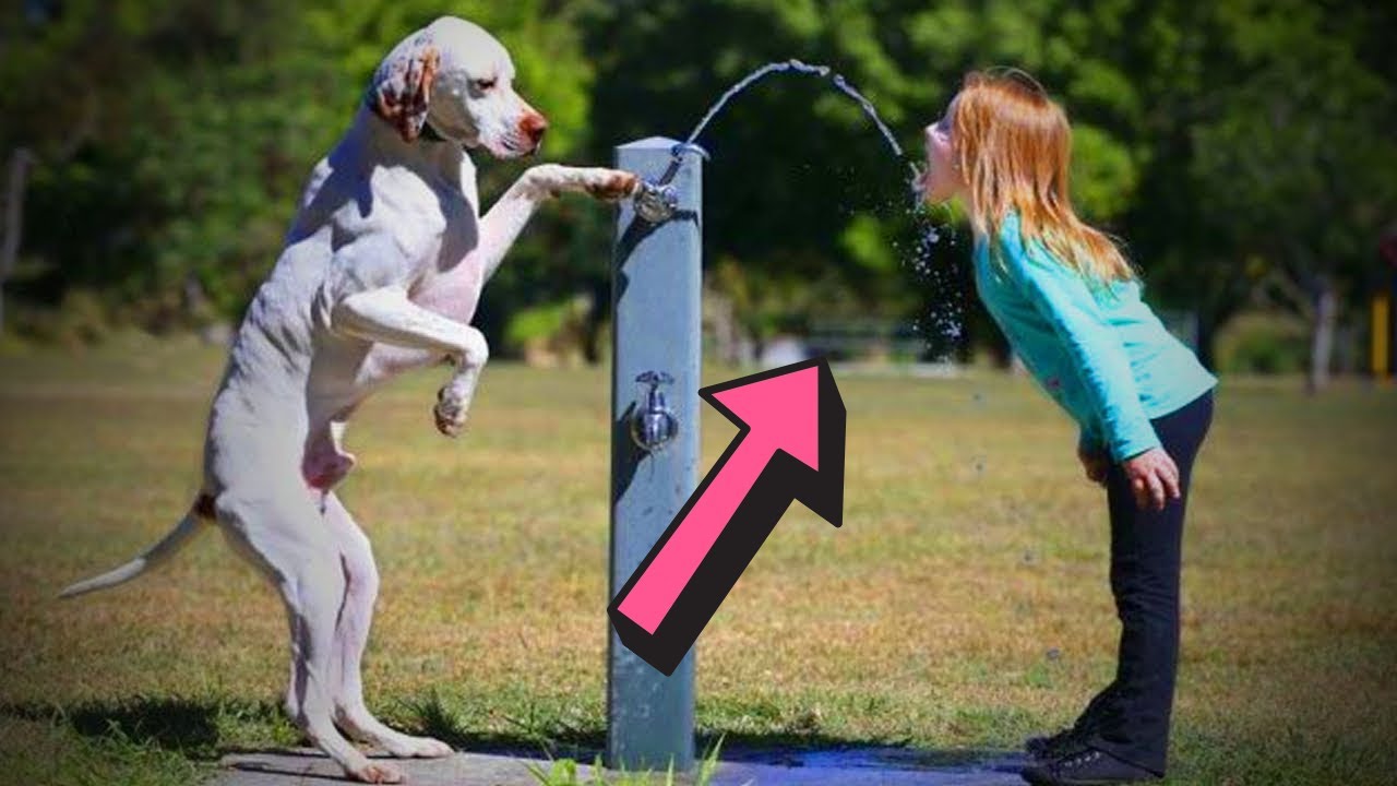 A Painfully Mesmerizing Masterpiece: Why 