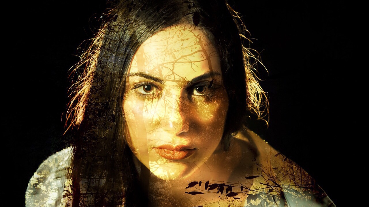 4. Surprising Historical Facts: Unearth the Untold Stories of Ancient Rome's Chariots and Egypt's Feline Deities