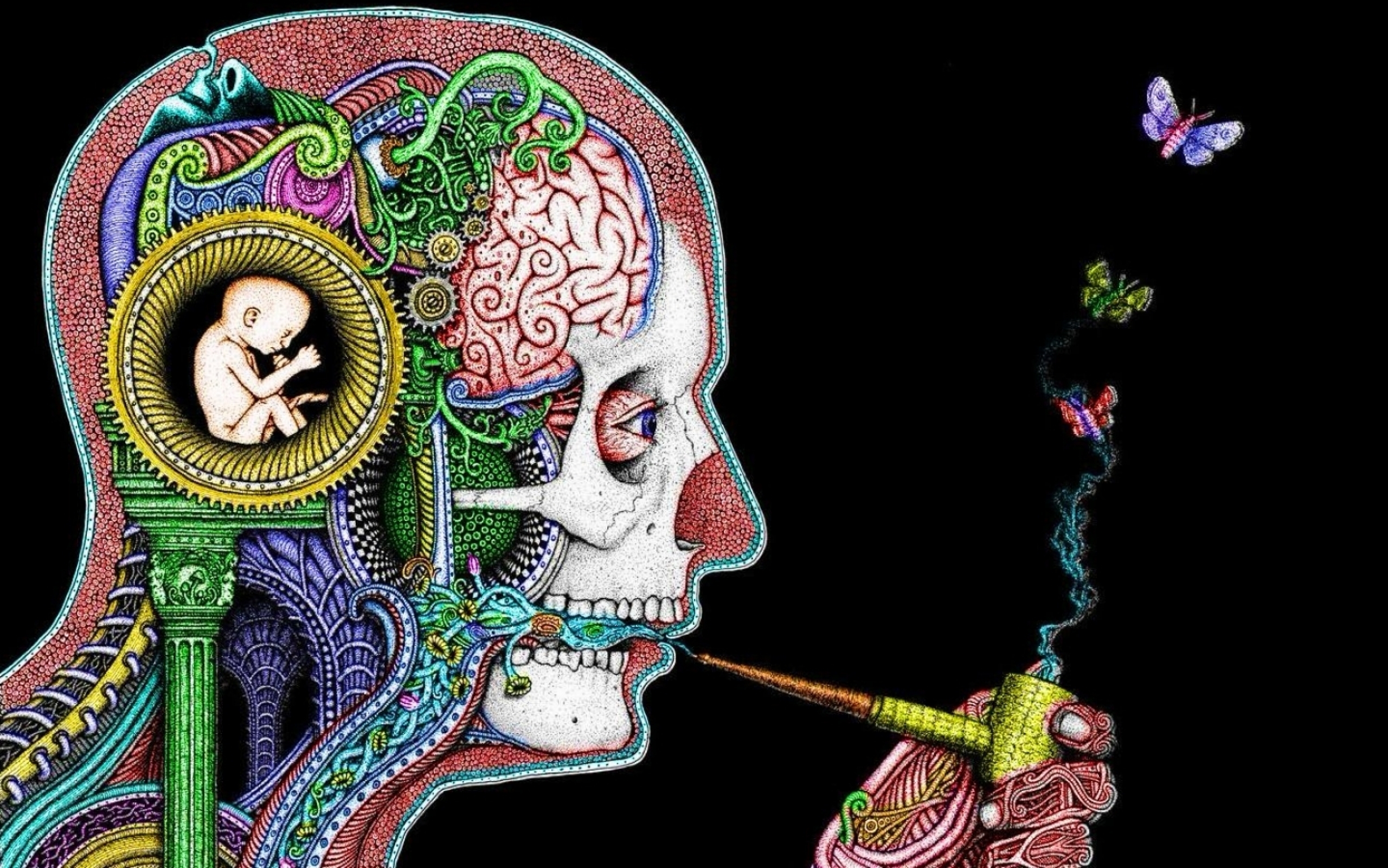 Differentiating Fun Facts from Regular Facts