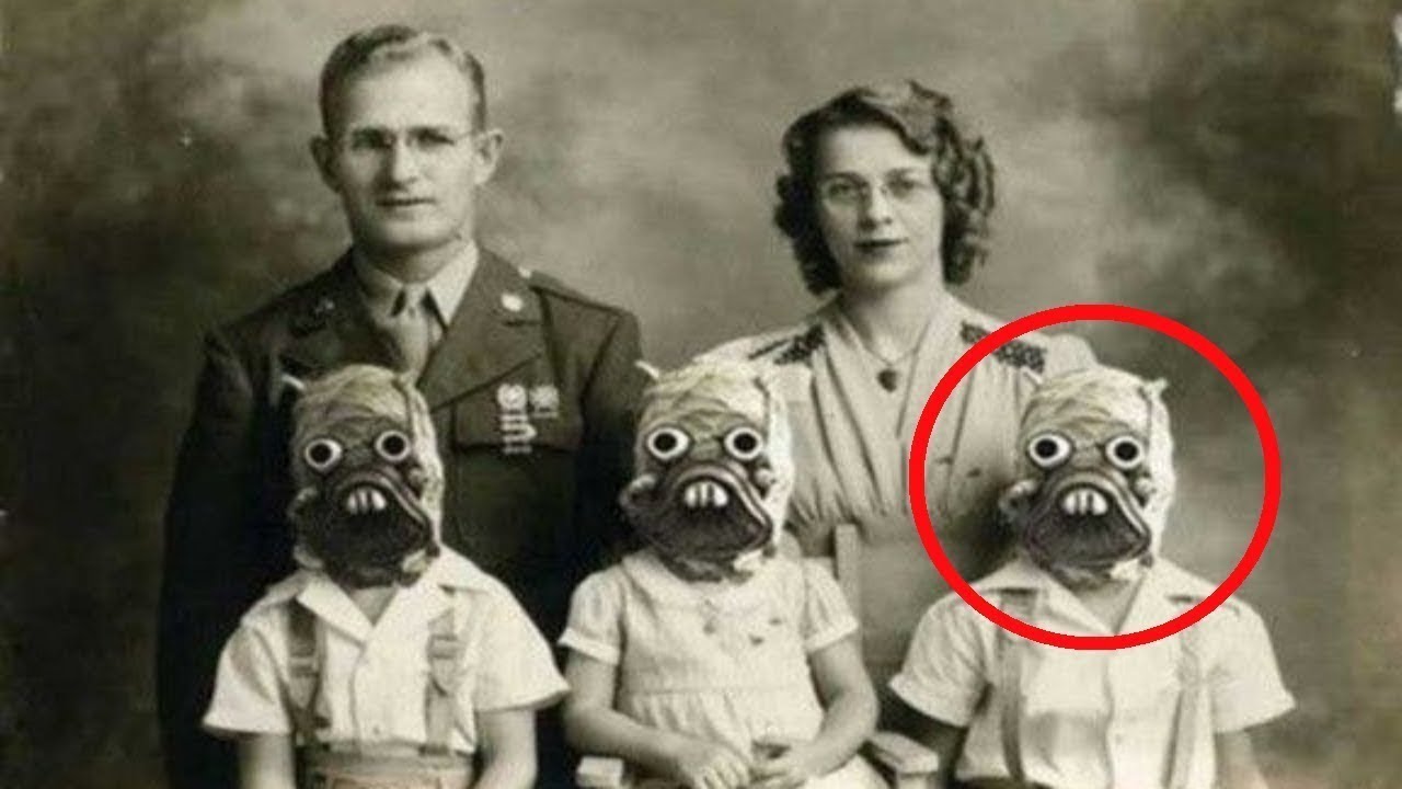 4. An Unexpected Sight: Witnessing Oysters in Treetops and Understanding Their Behavioral Significance